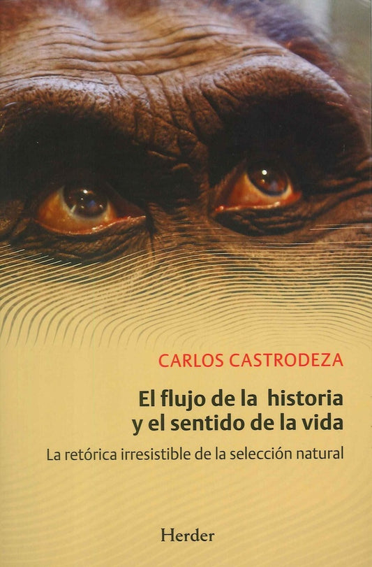FLUJO DE LA HISTORIA Y EL SENTIDO DE LA VIDA,EL | CASTRODEZARUIZDELACUESTA CARLOS