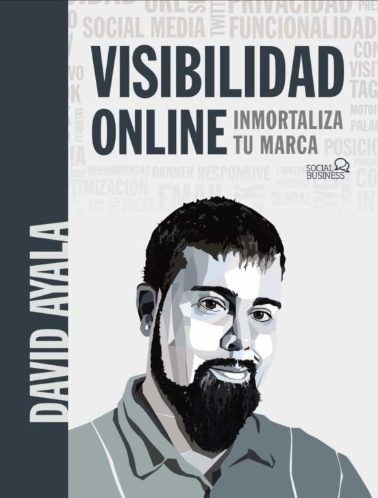 VISIBILIDAD ONLINE | AYALA DAVID