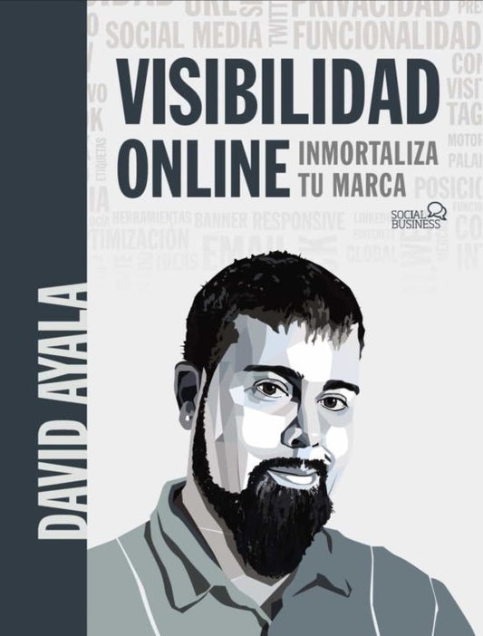 VISIBILIDAD ONLINE | AYALA DAVID