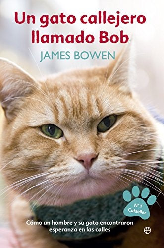 UN GATO CALLEJERO LLAMADO BOB | BOWDENJAMES