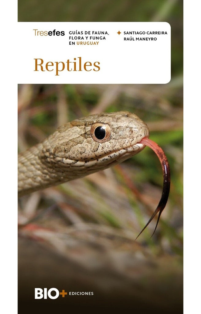 Reptiles (Colección Tresefes) | SANTIAGO/ MANEYRO  RAUL CARREIRA