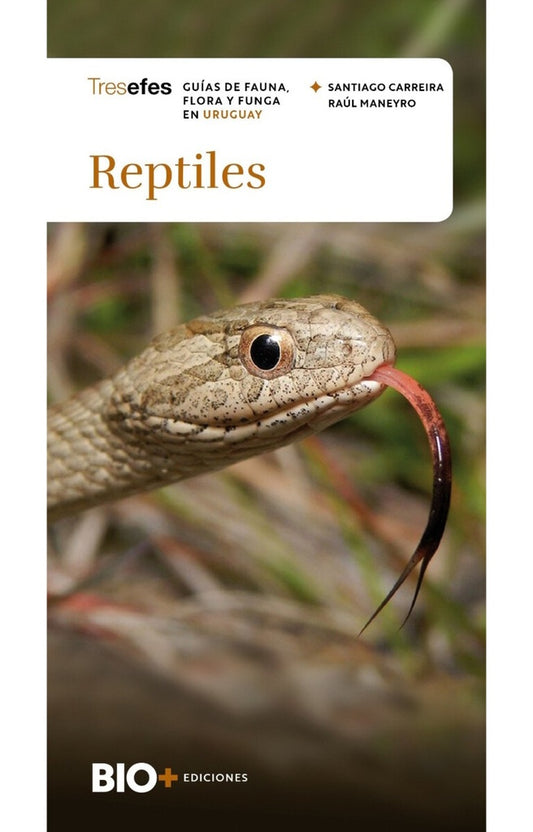 Reptiles (Colección Tresefes) | SANTIAGO/ MANEYRO  RAUL CARREIRA