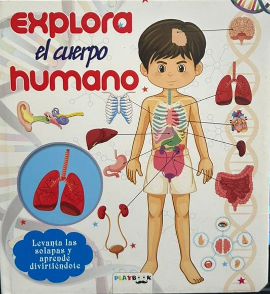 LEVANTA Y APRENDE EXPLORA EL CUERPO HUMANO | SIN ASIGNAR