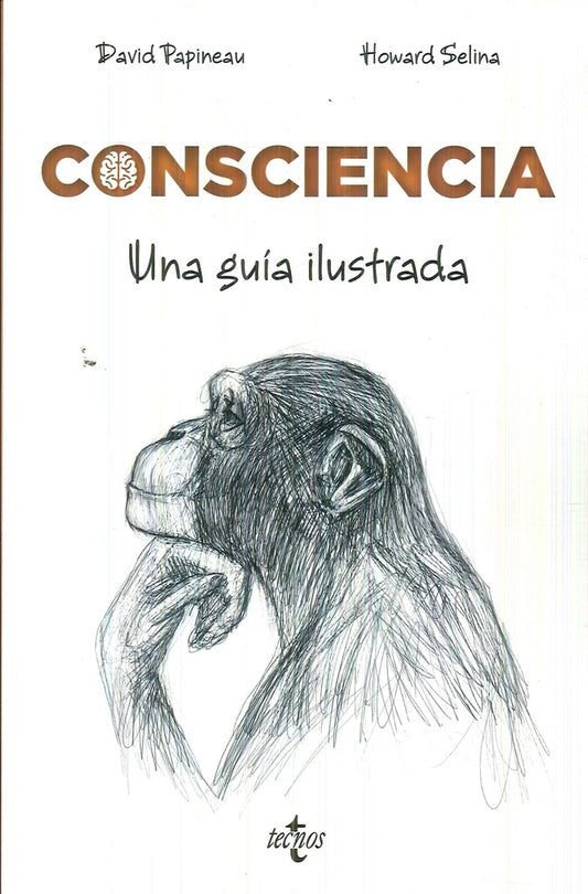 CONSCIENCIA UNA GUIA ILUSTRADA | DAVID PAPINEAU