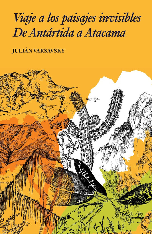 VIAJE A LOS PAISAJES INVISIBLES | JULIAN VARSAVSKY