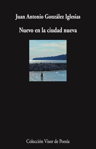 NUEVO EN LA CIUDAD NUEVA | JUAN ANTONIO GONZALEZ IGLESIAS