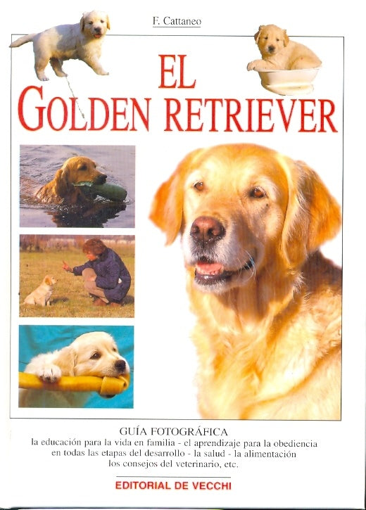 GOLDEN RETRIEVER | CATTANEO