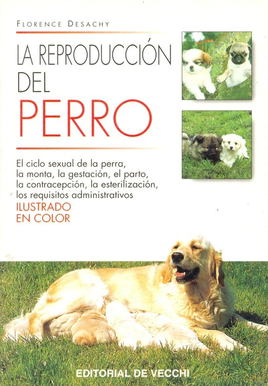 REPRODUCCION DEL PERRO | FLORENCE DESACHY