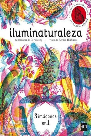 ILUMINATURALEZA | SIN ASIGNAR