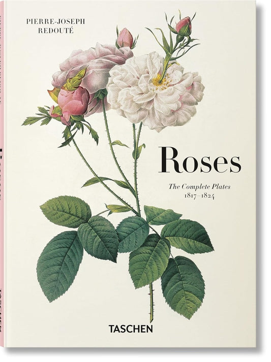 REDOUTE ROSES | H WALTER LACK