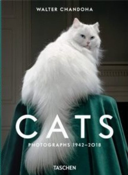 WALTER CHANDOHA CATS PHOTOGRAPHS 1942 2018 | SUSAN MICHALS