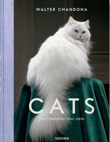 WALTER CHANDOHA CATS PHOTOGRAPHS 1942 2018 | SUSAN MICHALS