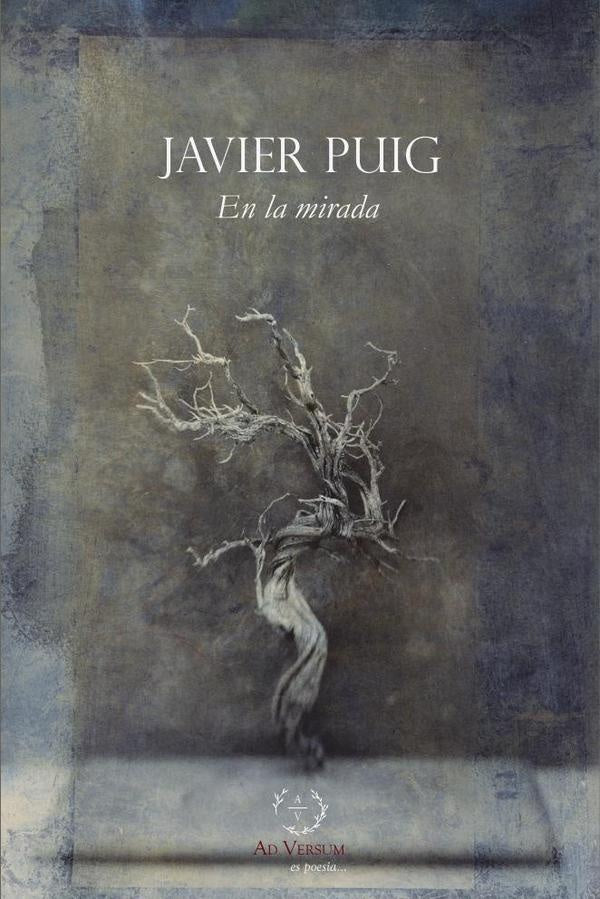 EN LA MIRADA | FRANCISCO JAVIER PUIG LOPEZ