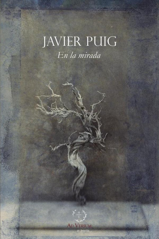 EN LA MIRADA | FRANCISCO JAVIER PUIG LOPEZ