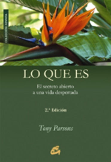 LO QUE ES | TONY PARSONS