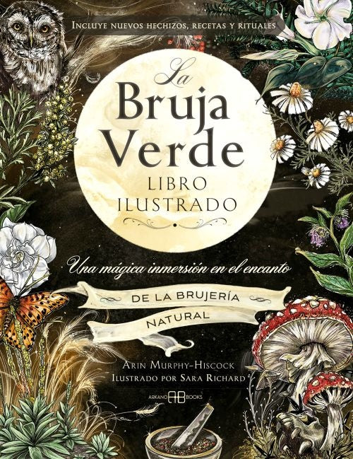 LA BRUJA VERDE LIBRO ILUSTRADO | ARIN MURPHY HISCOCK