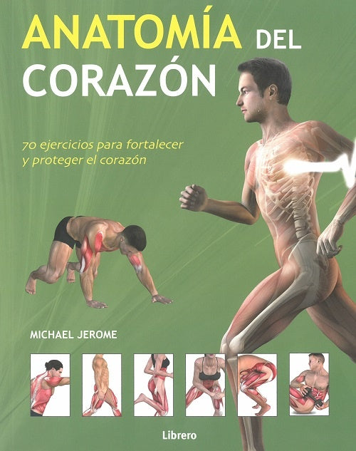 ANATOMIA DEL CORAZON | MICHAEL JEROME