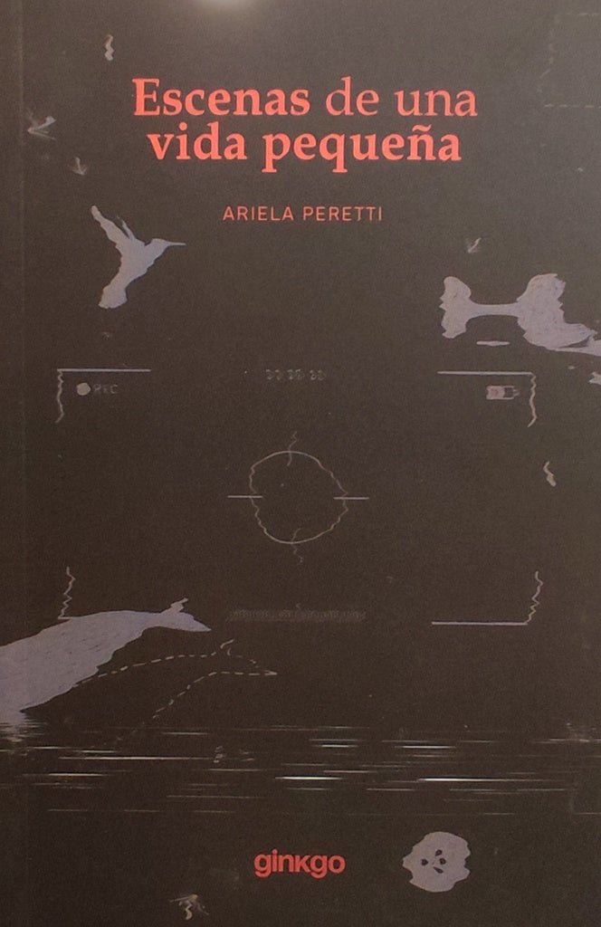 Escenas de una vida pequeña
 | ARIELA PERETTI