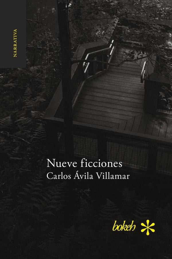Nueve ficciones | Carlos?vila Vilamar