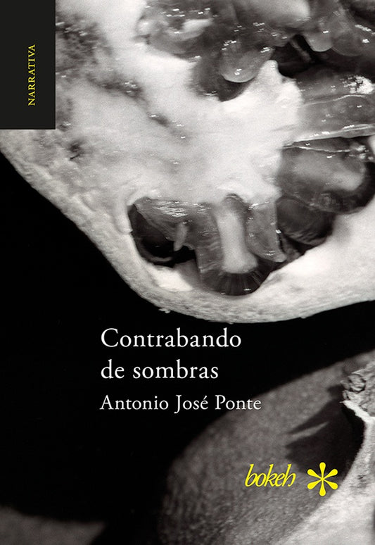 Contrabando de sombras | AntonioJos? Ponte