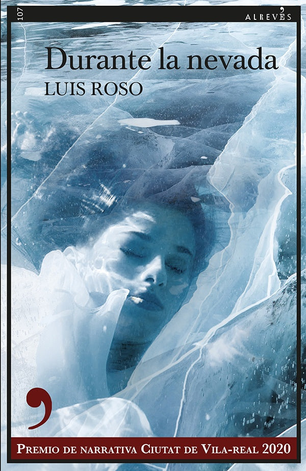 Durante la nevada | Luis Roso