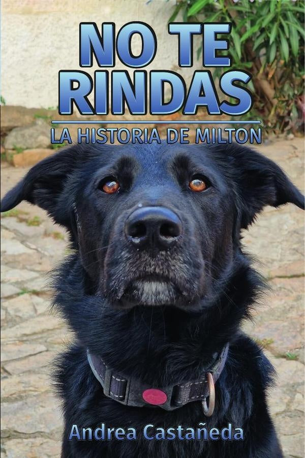 No te rindas | AndreaCasta?eda Wyszkowski