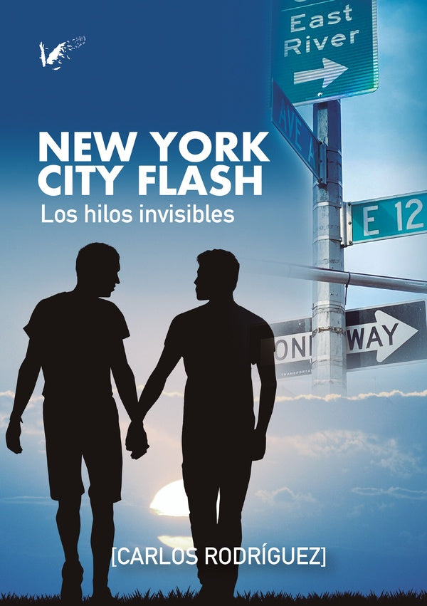 New York City Flash | CarlosRodr?guez Garrido