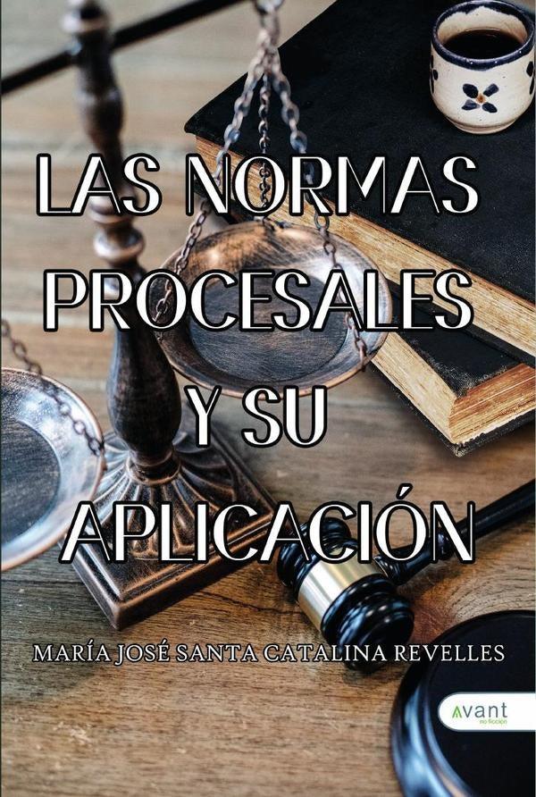 Las normas procesales y su aplicaci?n | Mar?aJos? Santacatalina