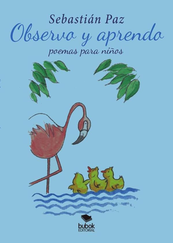 Observo y aprendo | Sebastian Paz