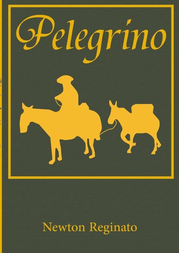 Recorda??es De Pelegrino | Newton Reginato