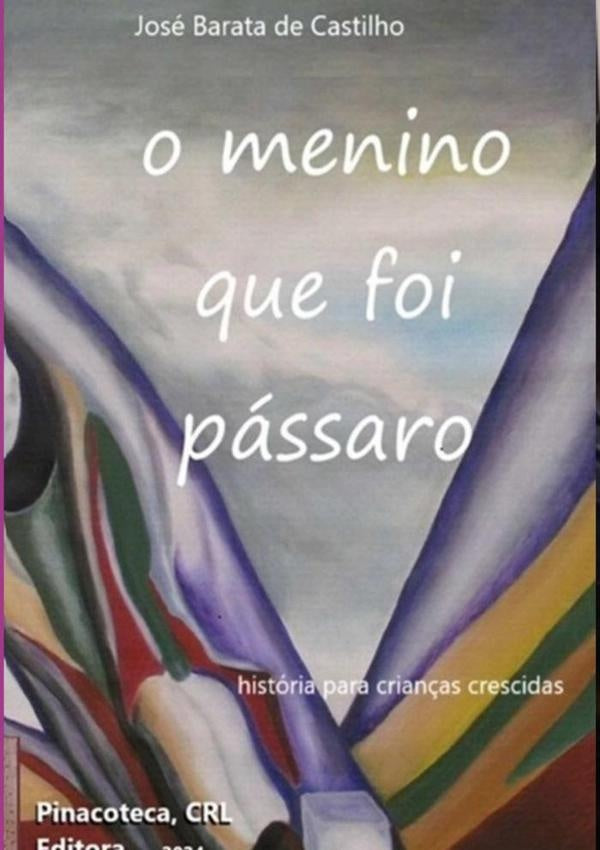 O Menino Que Foi Passaro | JoseBarataDe Castilho