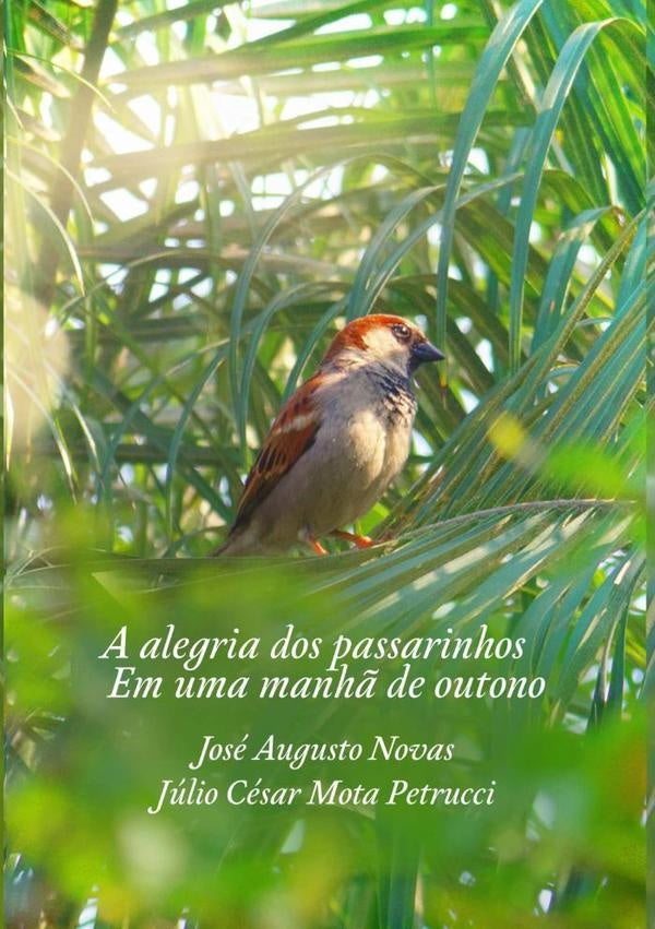 A Alegria Dos Passarinhos Em Uma Manha~ De Outono | Augusto Novas