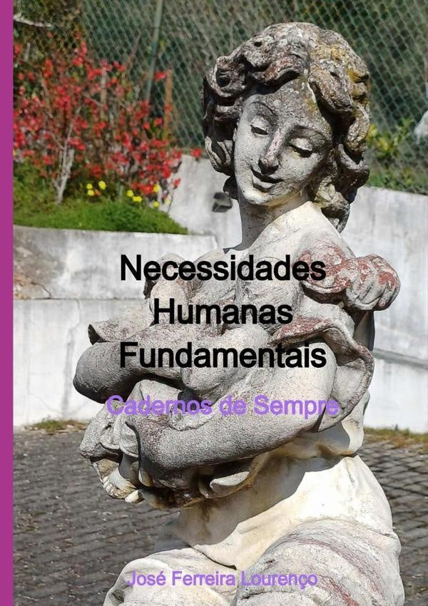 Necessidades Humanas Fundamentais | JoseFerreira Louren?o