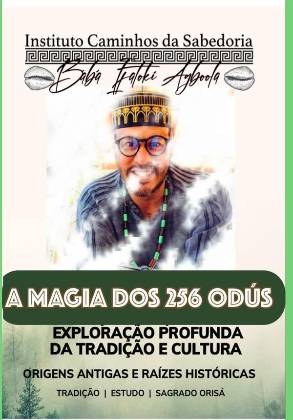 Livro Dos 256 Od?s: Rituais, Ebos E Banhos De Poder | MarceloRicardo Campos