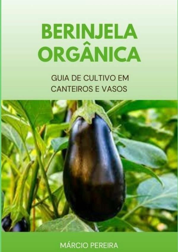 Berinjela Org?nica | Marcio Pereira