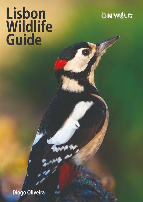 Lisbon Wildlife Guide | Diogo Oliveira