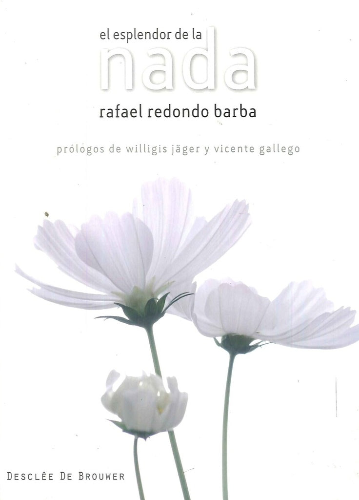 El esplendor de la nada | RafaelRedondo Barba