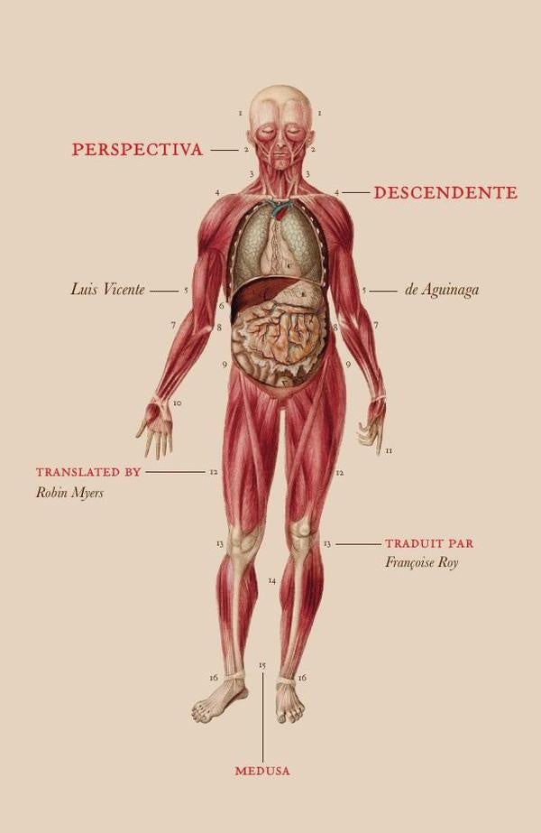 Perspectiva descendente | Robin Myers