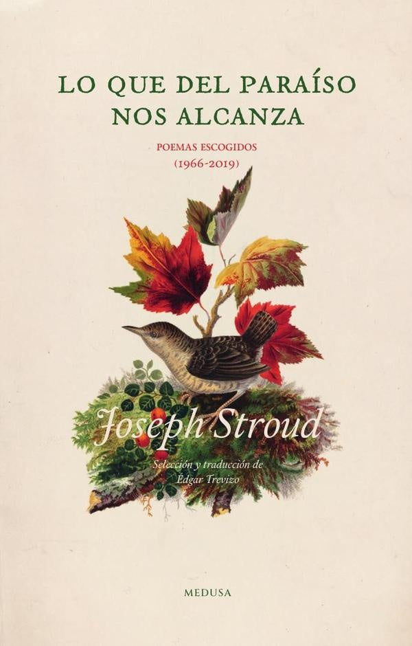 Lo que del paraiso nos alcanza | Joseph Stroud