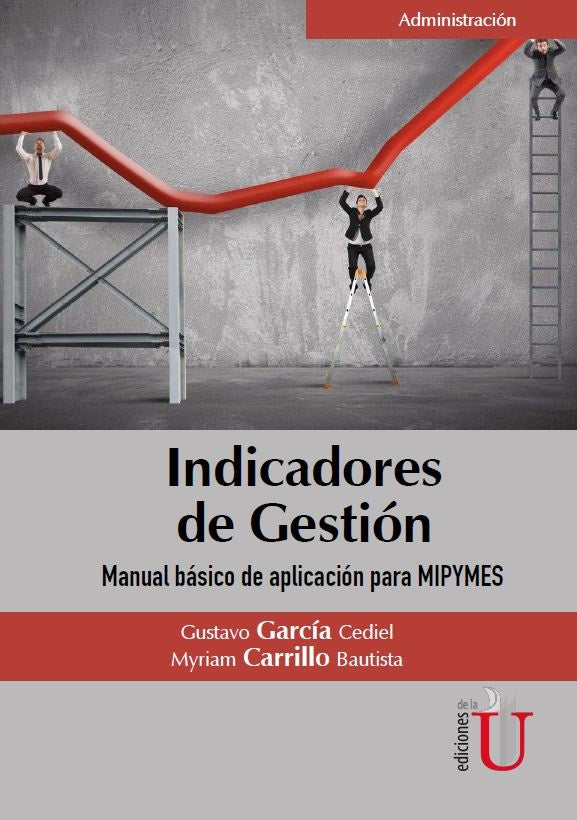 Indicadores de gestion. Manual Basico de aplicacion para MIPYMES | MyriamCarrillo Bautista
