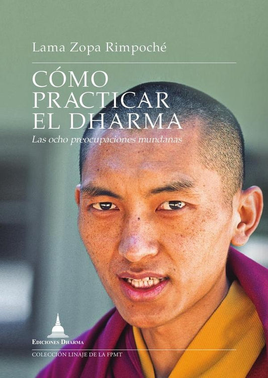 Como practicar el dharma | LamaZopa Rimpoche