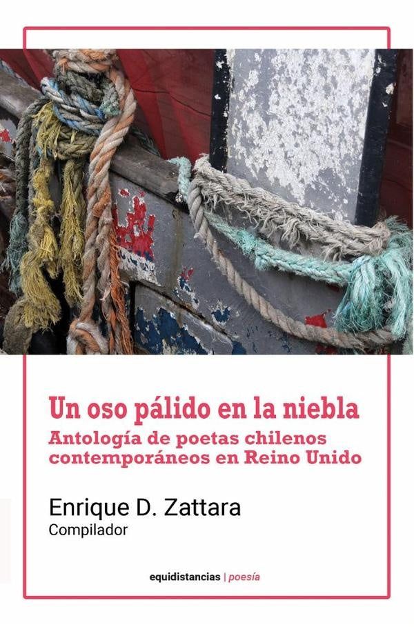 Un oso palido en la niebla | EnriqueD. Zattara