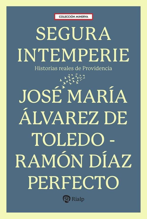 Segura intemperie | JoseMariaalvarezde Toledo