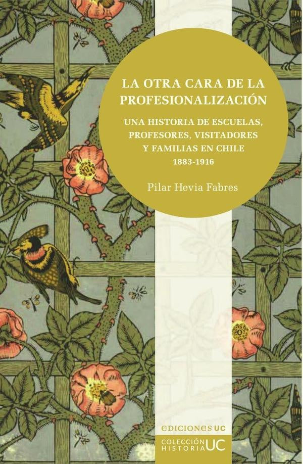 La otra cara de la profesionalizacion | PilarHevia Fabres