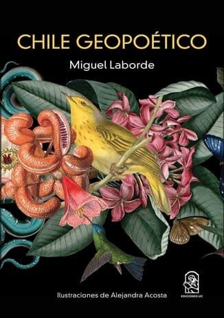Chile geopoetico | Miguel Laborde