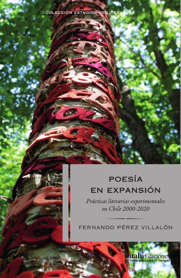 Poesia en expansion | FernandoPerez Villalon