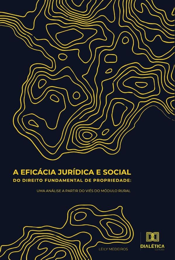 A eficacia juridica e social do direito fundamental de propriedade | Leily Medeiros