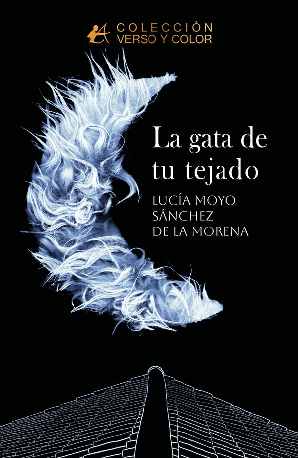La gata de tu tejado | LuciaMoyoSanchezdela Morena