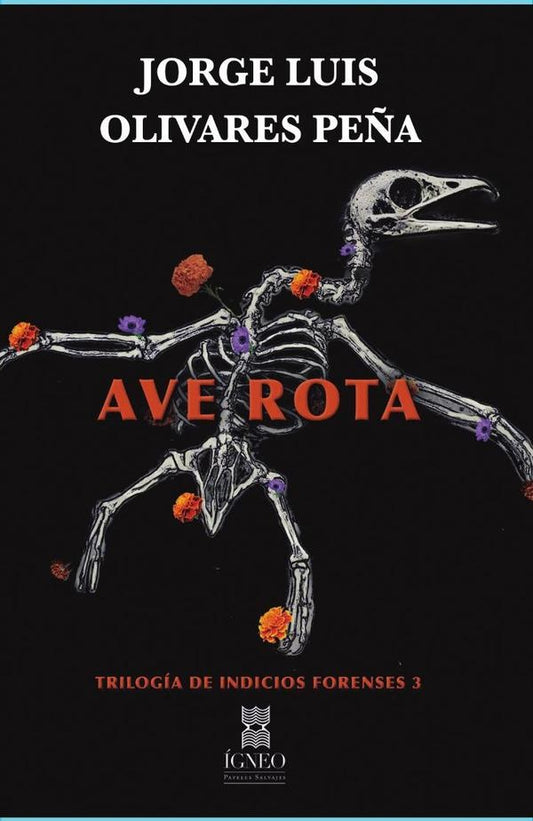 Ave rota | JorgeLuisOlivares Pe?a