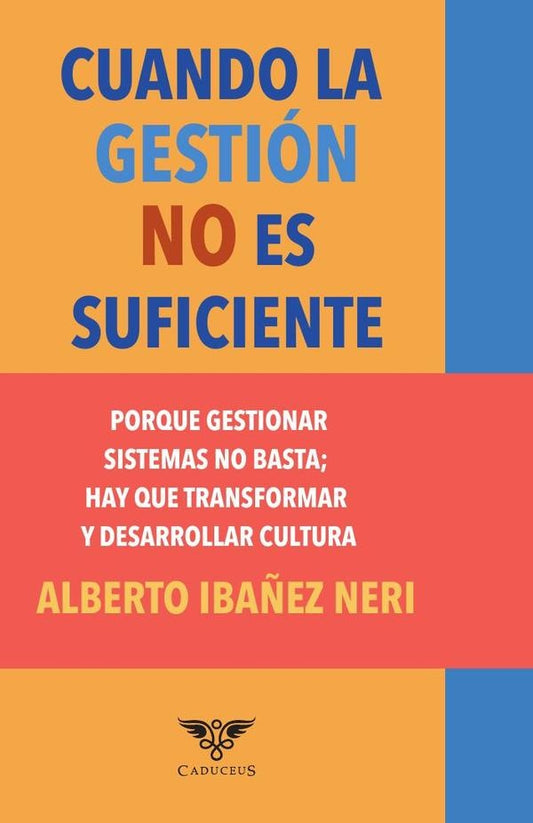 Cuando la gestion no es suficiente | Alberto Iba?ez
